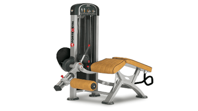 Femoral Echado FORTEXGYM