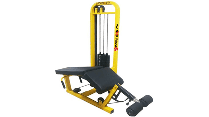 Femoral Echado FORTEXGYM