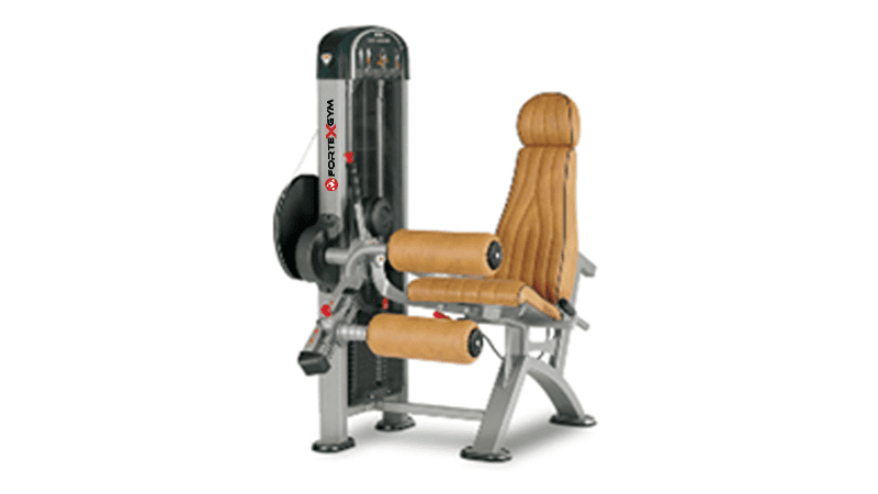 Femoral Sentado FORTEXGYM