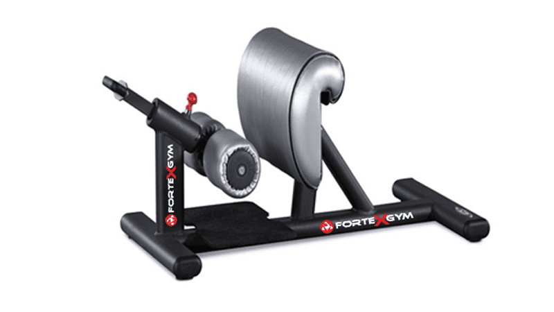 Sissy Squat FORTEXGYM