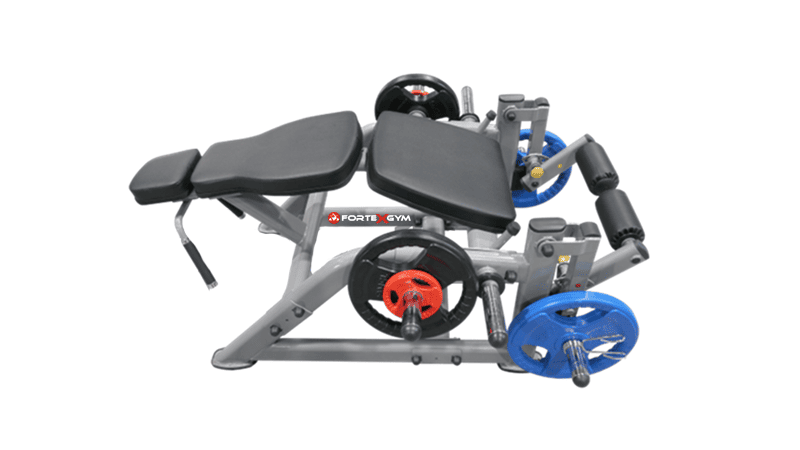 Hammer Femoral FORTEXGYM