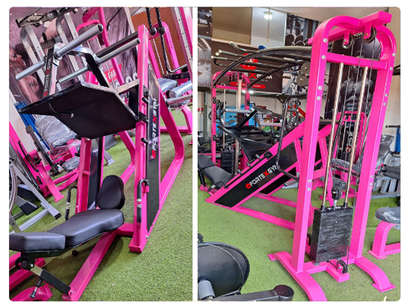 Proyecto de Gimnasio FORTEXGYM