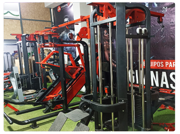Proyecto de Gimnasio FORTEXGYM